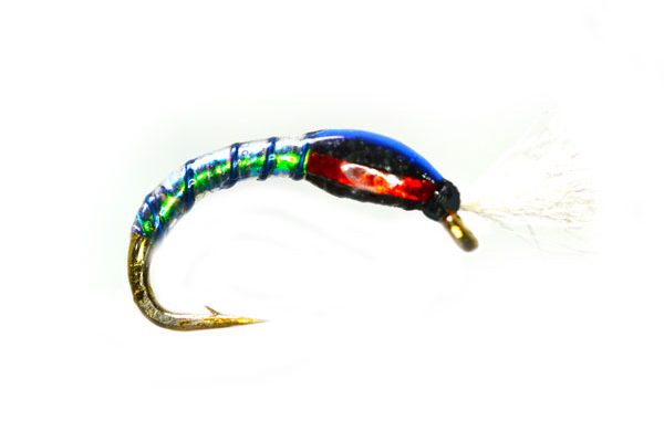 Oil Slick Buzzer Blue Ribbed Killer Trout Fly