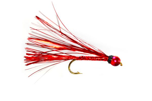 Rainbow Head Sparkler Red Trout Fly