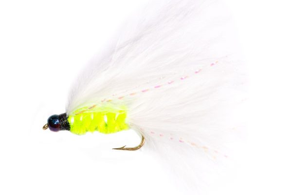 Rainbow Killer Cats Whiskers Trout Fishery Flies