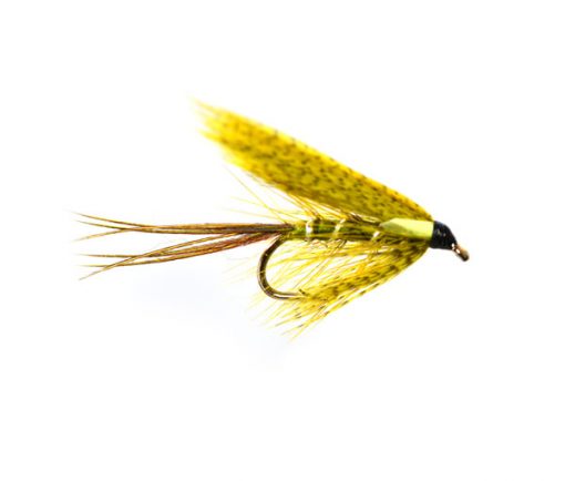 Sooty Biot Dabbler