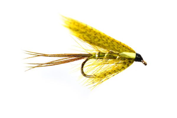 Sooty Biot Dabbler