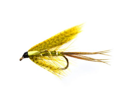 Sooty Biot Dabbler