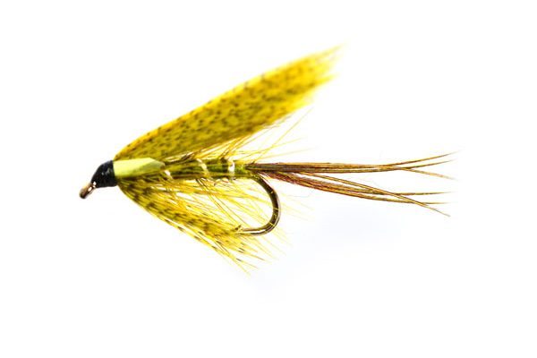 Sooty Biot Dabbler