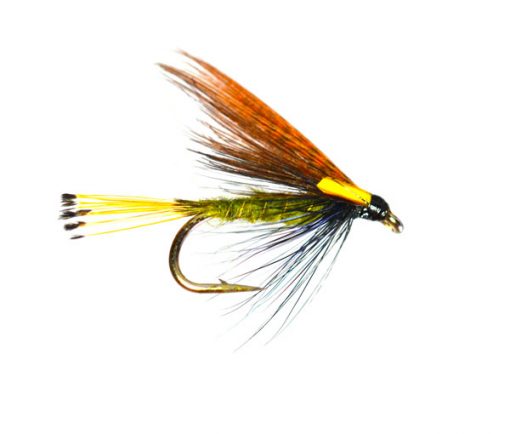 Sooty Olive Biot Special Wet Fly