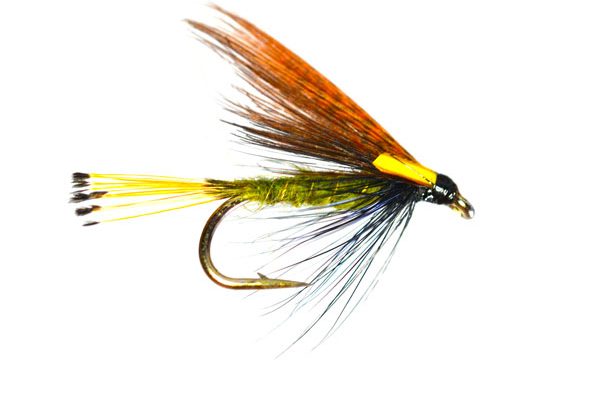 Sooty Olive Biot Special Wet Fly