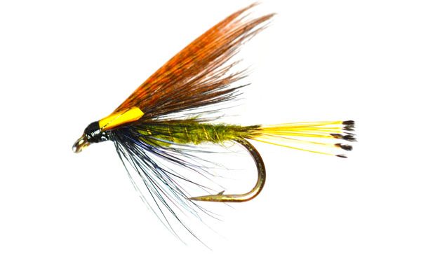 Sooty Olive Biot Special Wet Fly