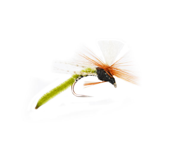 Spotlight Caddis Emerger Olive Fishing Flies fishing online trout flies