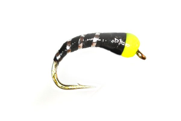 yellow head wide silver rib epoxy buzzer