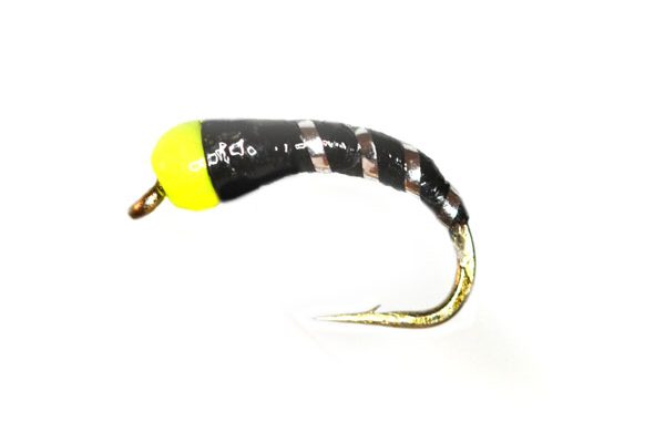 yellow head wide silver rib epoxy buzzer