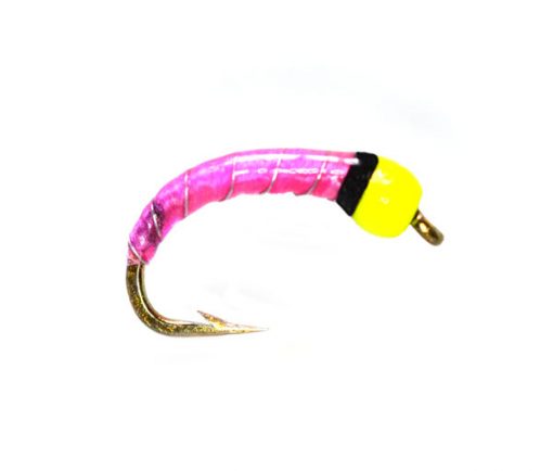 Yellow Fluo Head pink epoxy buzzer