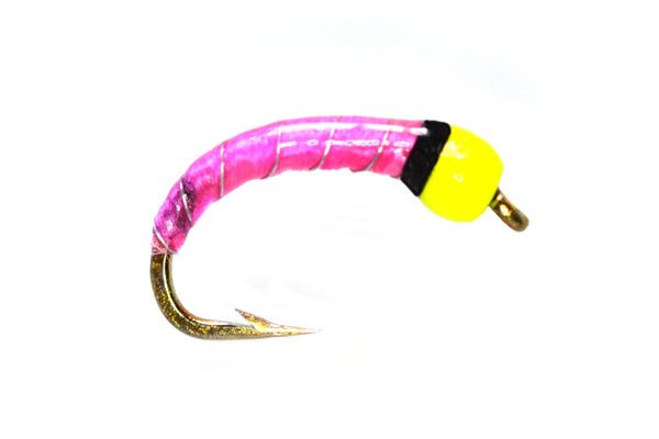 Yellow Fluo Head pink epoxy buzzer