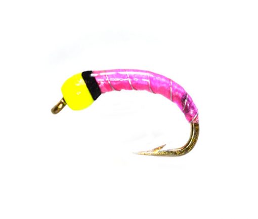 Yellow Fluo Head pink epoxy buzzer