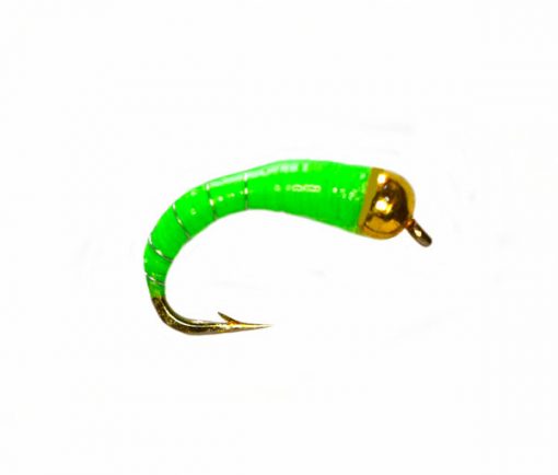 Lancasters Goldhead Algae Creeper Epoxy Buzzer