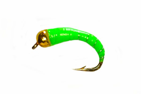 Lancasters Goldhead Algae Creeper Epoxy Buzzer