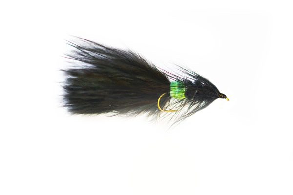 Black Terminator Green Tag Tadpole