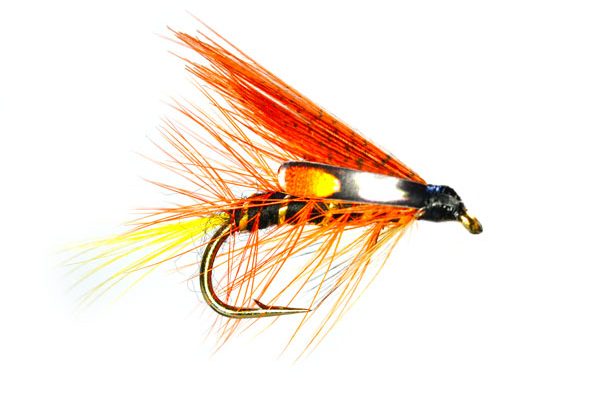 Thunder & Lightning SJC Special Wet Fly