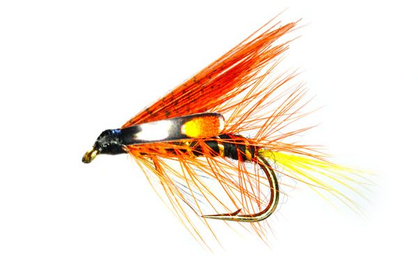 Thunder & Lightning SJC Special Wet Fly