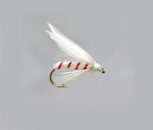 White Moth Winged Red Ribbed Special Wet Fly