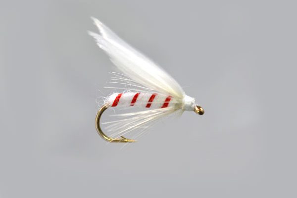 White Moth Winged Red Ribbed Special Wet Fly