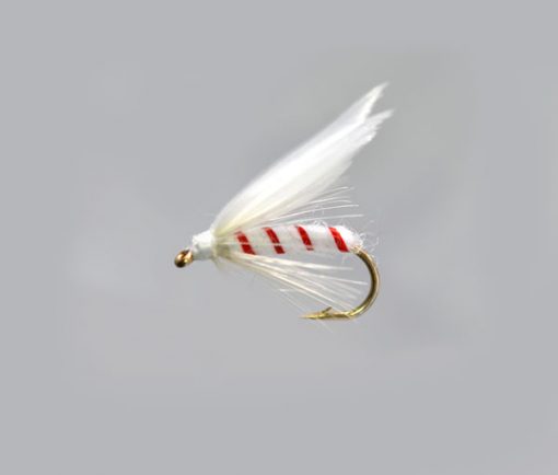 White Moth Winged Red Ribbed Special Wet Fly