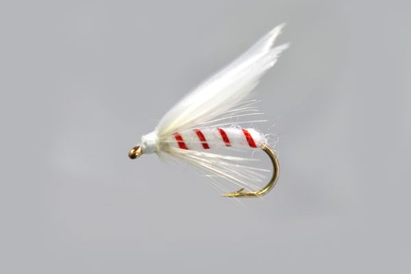 White Moth Winged Red Ribbed Special Wet Fly