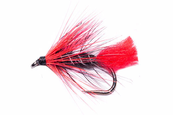 Gifford's Fire Zulu Wet Fishing Fly