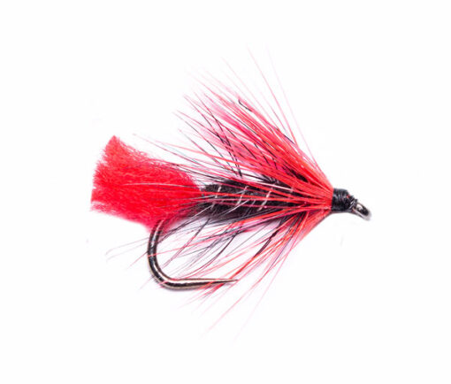 Gifford's Fire Zulu Wet Fishing Fly