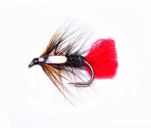 Gifford's Sunset SJC Zulu Wet Fishing Fly