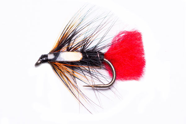 Gifford's Sunset SJC Zulu Wet Fishing Fly