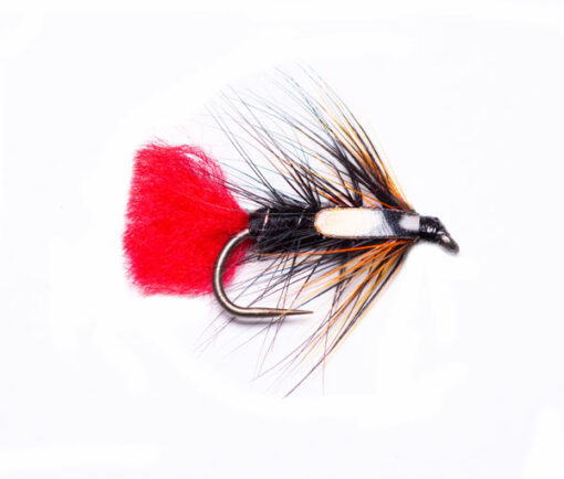 Gifford's Sunset SJC Zulu Wet Fishing Fly