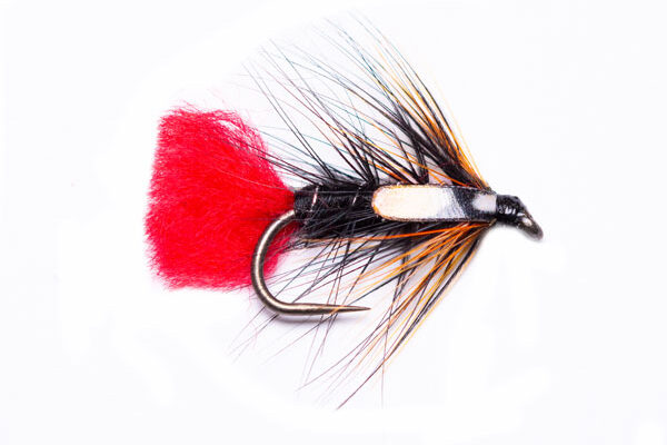 Gifford's Sunset SJC Zulu Wet Fishing Fly