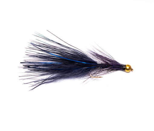 Goldhead Blue Flash Black Damsel