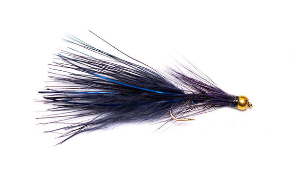 Goldhead Blue Flash Black Damsel