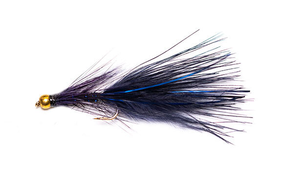 Goldhead Blue Flash Black Damsel