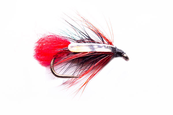 SJC Fire Hackle Zulu Loch Fly