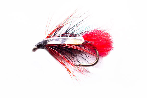 SJC Fire Hackle Zulu Loch Fly