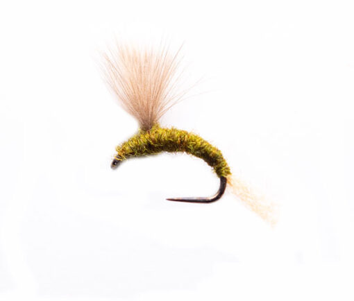 Sage Fawn CDC Emerger Fishing Fly