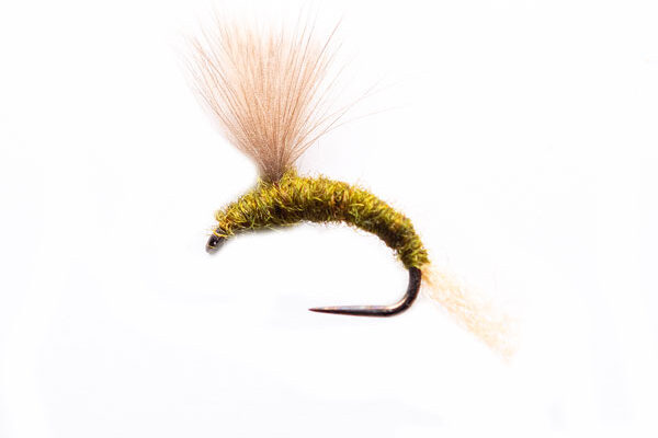 Sage Fawn CDC Emerger Fishing Fly