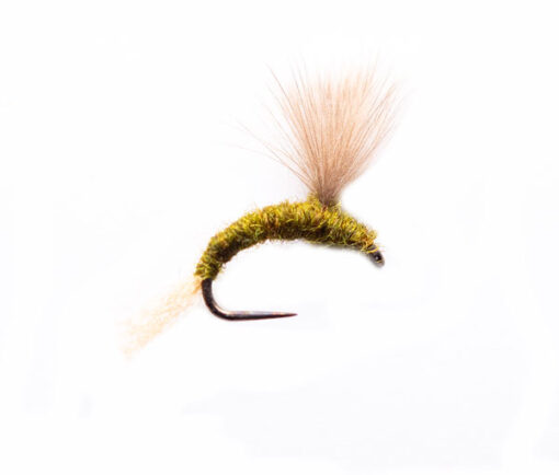 Sage Fawn CDC Emerger Fishing Fly