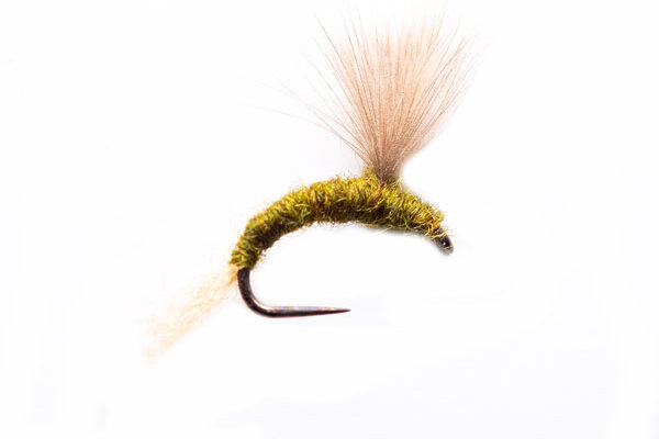 Sage Fawn CDC Emerger Fishing Fly