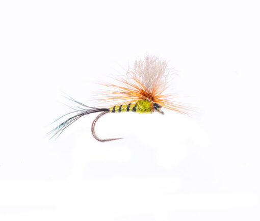 Burkus Green Drake Dun Emerger