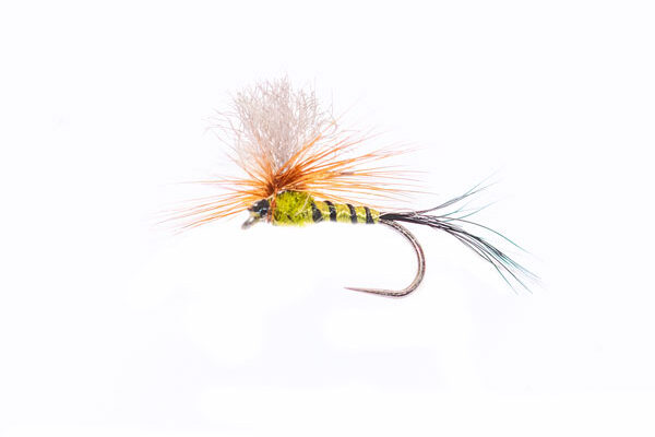 Burkus Green Drake Dun Emerger