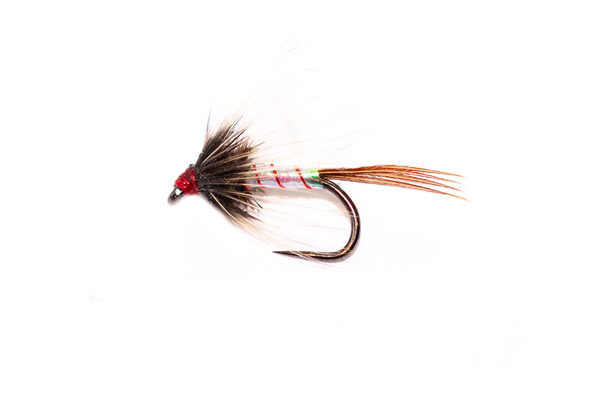 DW Catch All Hybrid Spider Fly