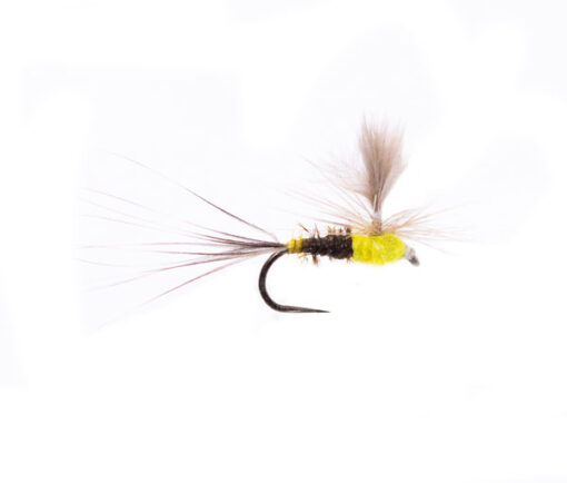 Munro's Sulphur Dun Spinner CDC