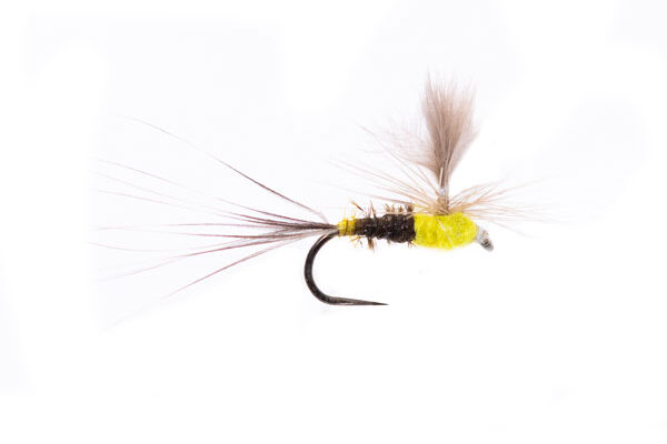 Munro's Sulphur Dun Spinner CDC