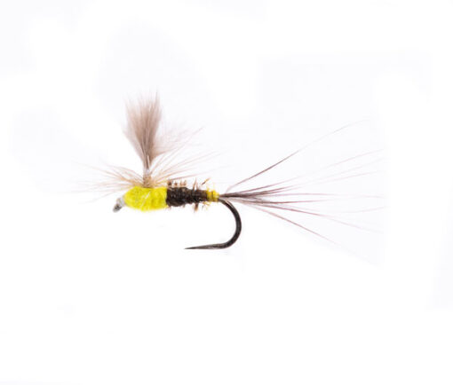 Munro's Sulphur Dun Spinner CDC