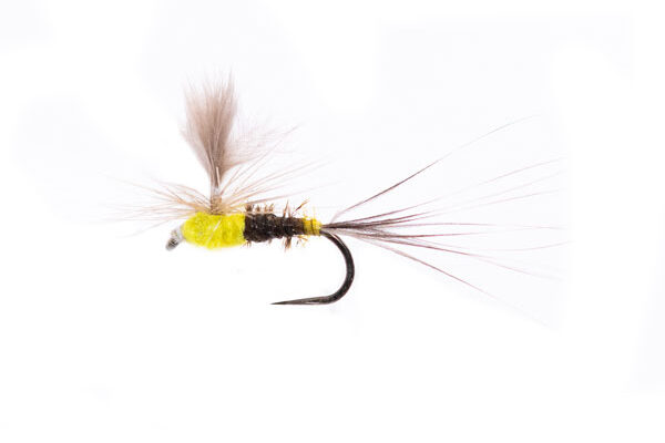 Munro's Sulphur Dun Spinner CDC