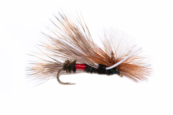 PMX Royal Stimulator Special Dry Fly